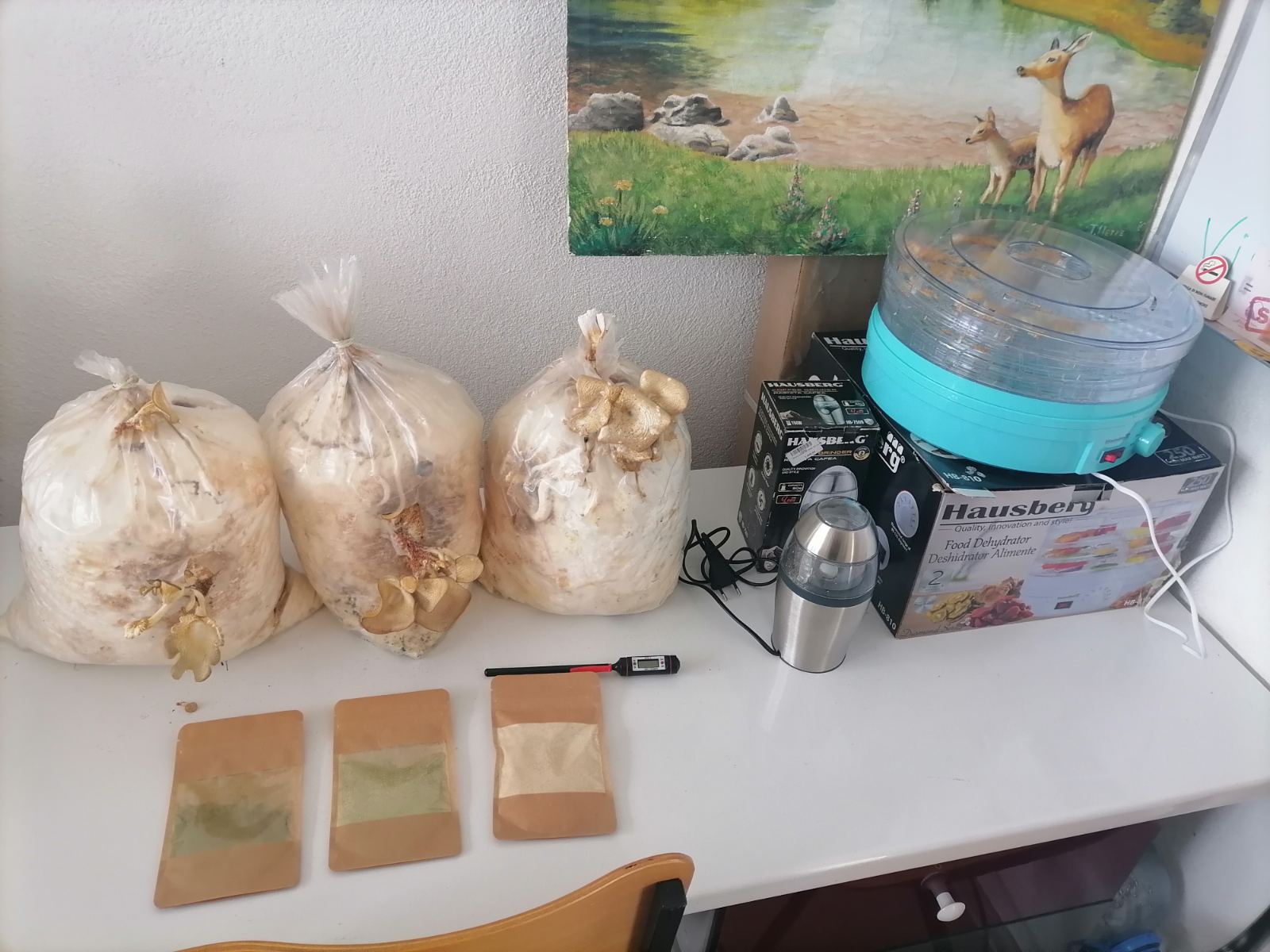 Граѓанското општество и младите за инклузивен и одржлив развој преку циркуларна економија во Македонија